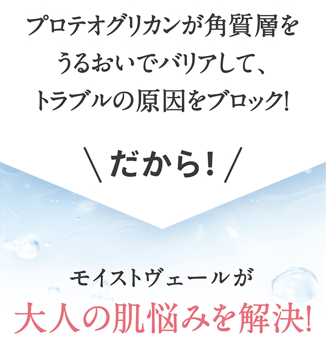 プロテオグリカンが角質層をうるおいでバリアして、トラブルの原因をブロック！