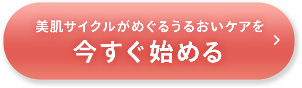 お申し込みボタン_都度購入1